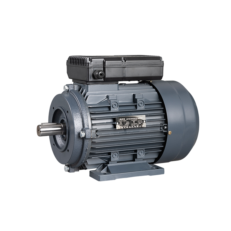 High Energy Efficiency Ratio 112 Frame Single-phase External Shaft B34 Flange Mount Motor High Energy Efficiency Ratio 112 Frame Single-phase External Shaft B34 Flange Mount Motor
